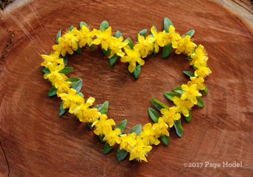 handmade heart of yellow flowers