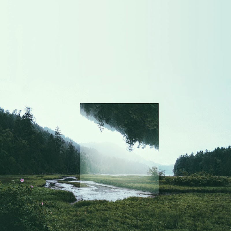 A photo of a green landscape, with a smaller square of the same image flipped upside down in the center of the photo, representing bargaining in the five stages of grief
