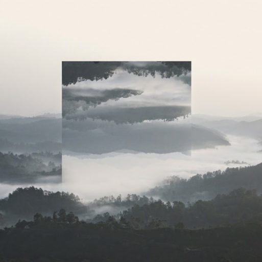 A photo of a forest next to a river, with the same image flipped upside down inside of the larger image, representing acceptance in the five stages of grief