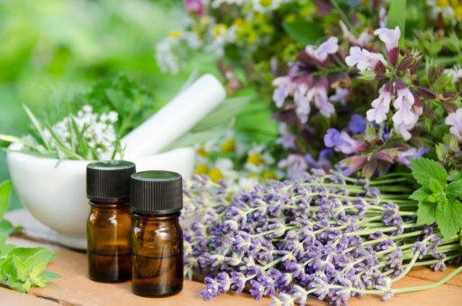 essential oils and plants used in aromatherapy