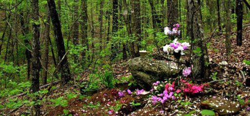 Gravesite with flowers in woods