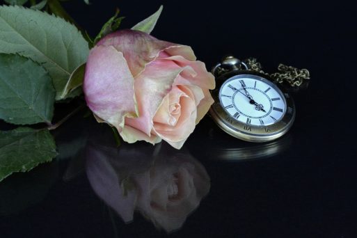 A rose and a pocket watch 
