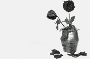 Dead roses of a broken heart