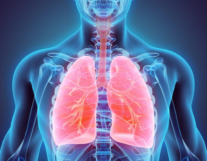 cystic fibrosis in lungs