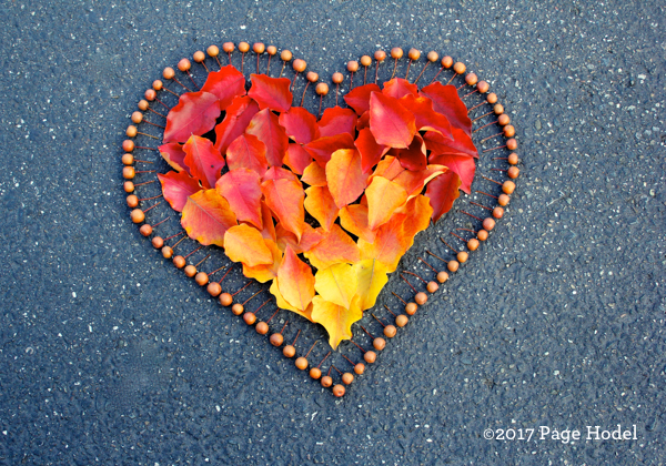 handmade heart of flowers 