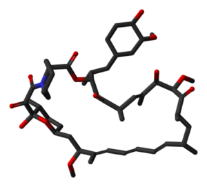 Stick model of the rapamycin molecule