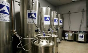 Cryopreservation tanks blur line between life and death