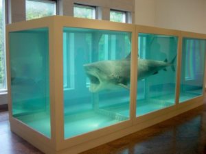 Shark displayed in a tank of formaldehyde to symbolize the mystery of death