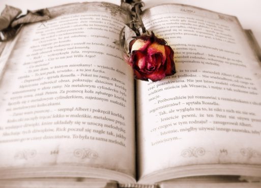 Rose laying in an open book symbolizing both love and grief