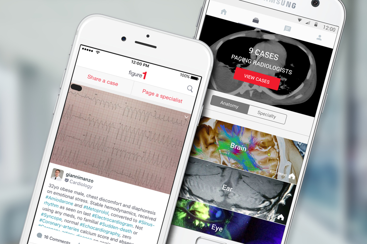 Image of the Figure 1 app