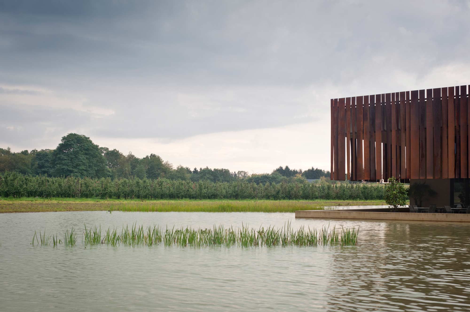 A photo of Hofheide Crematorium, with a close up of the calm water of the swamp, with water plants growing at the center