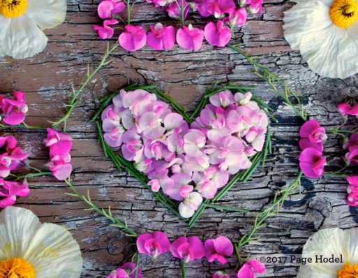 hearts made of pink and lavender flowers 