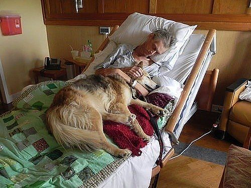 Dying person with pet may be helped by Pet Peace of Mind