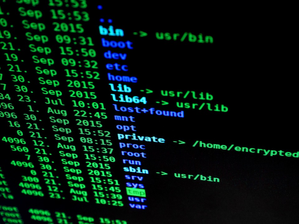 A computer screen showing lines of code, similar to the one used to protest Pelletier's treatment after originally diagnosing mitochondrial disease