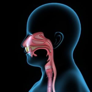 Diagram of normal mouth and throat and esophagus, which are affected by dysphagia