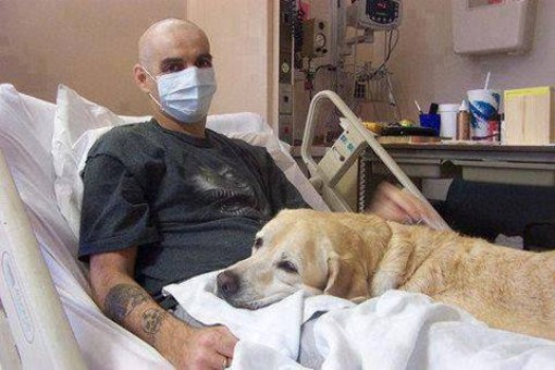 A dog offers comfort and companionship to ailing man