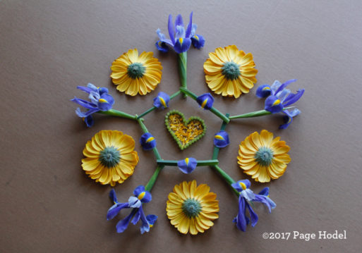 Handmade heart made of yellow and blue flowers 