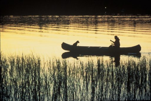 Lone man and his dog in a canoe on a river