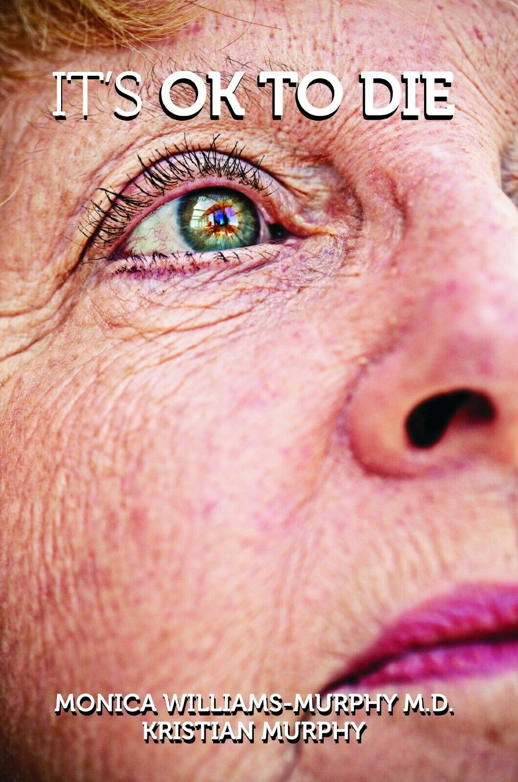 its okay to die book cover