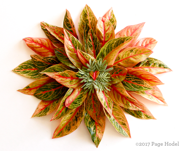 Handmade heart shaped like a pinwheel