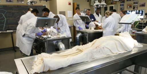 Medical school room in which students are working on cadavers, symbolizing what donated bodies are done with after death.