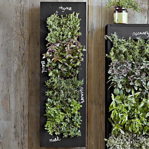 vertical herbs garden for someone grieving