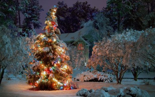 Lights on Tree in snow for a holiday full of magic and love