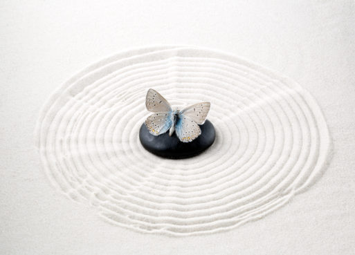 Zen stone with butterfly symbolizes dying well 