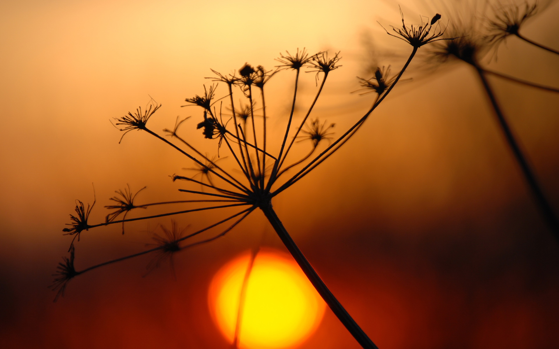 A lone branch against a sunset sky shows how pretense isolates us