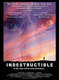 DVD cover of, "Indestructible" a documentary about ALS.