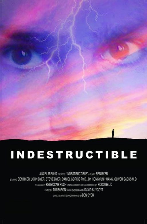 indestructible movie poster
