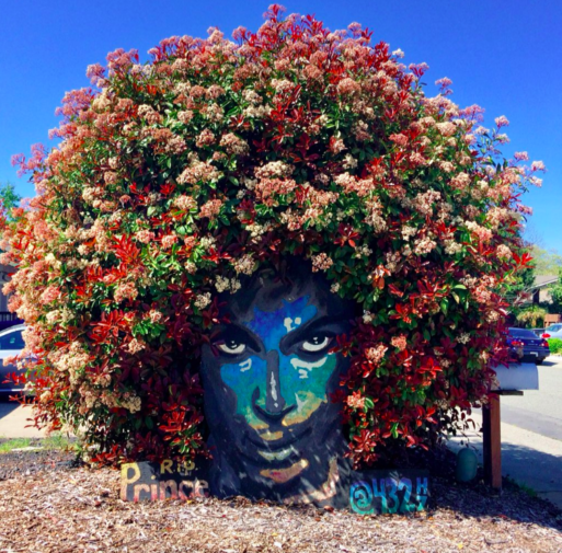 Prince mural blooms