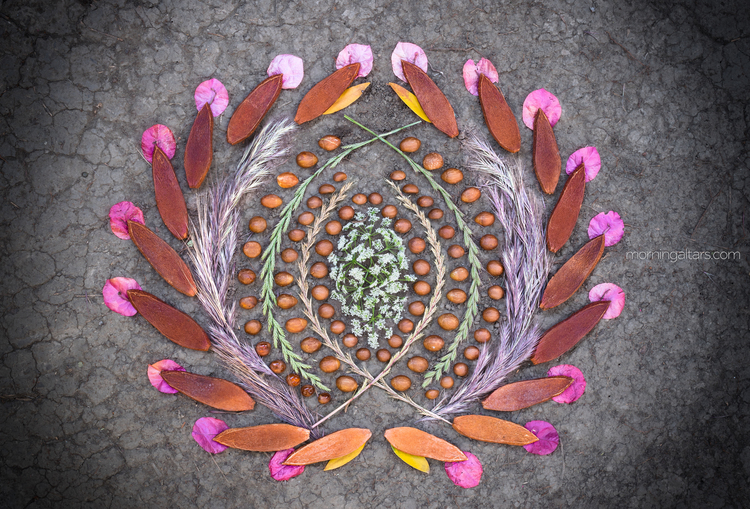 Morning Altar by Day Schildkret