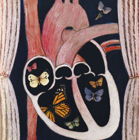 "Remember the Night Rainbow" illustration of a heart with butterflies