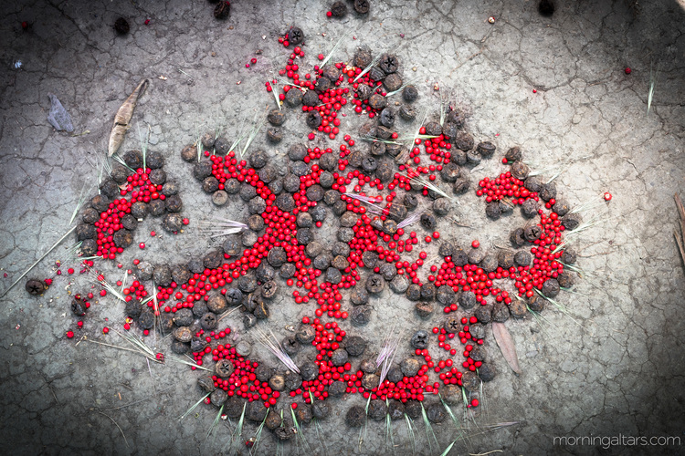 an image of a Morning Altar signifying wonder and impermanence