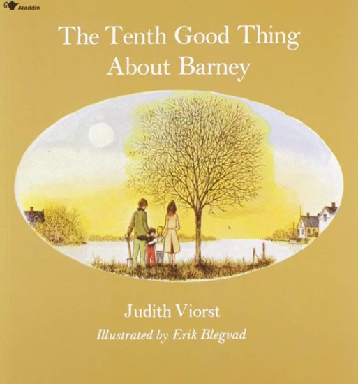 the tenth good thing about barney book cover