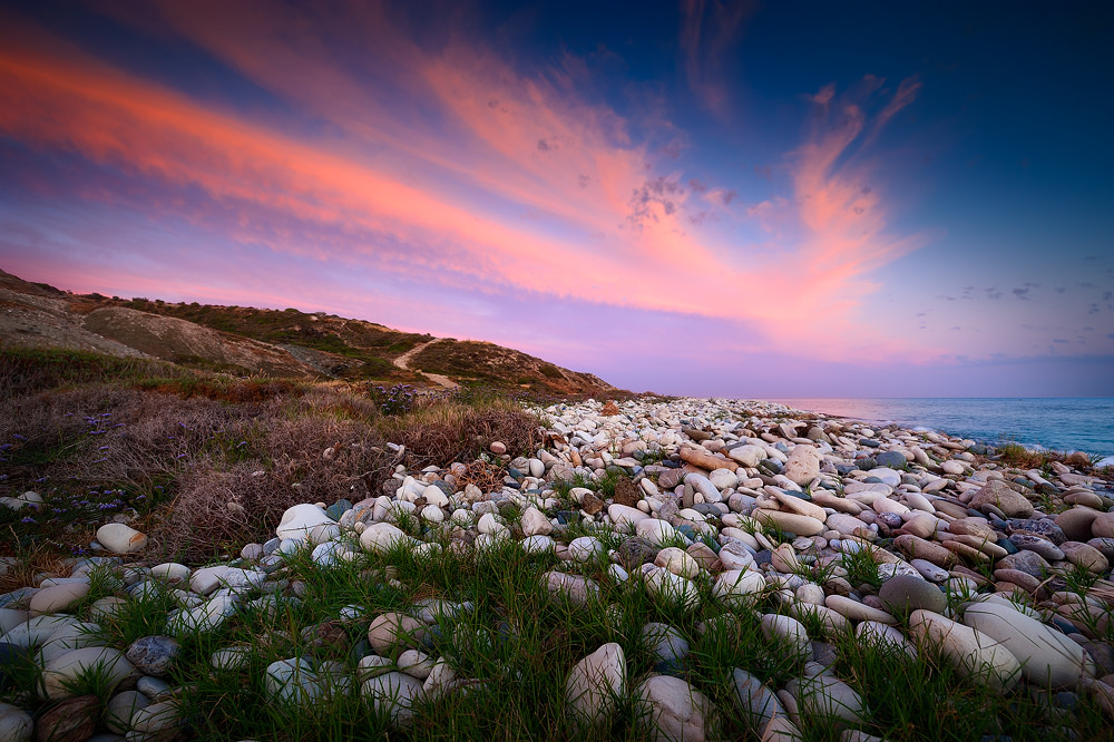 a lonely beach seems to speak of suicide