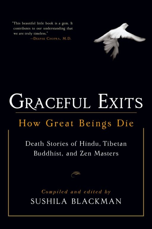 graceful exits by sushi Blackman book cover