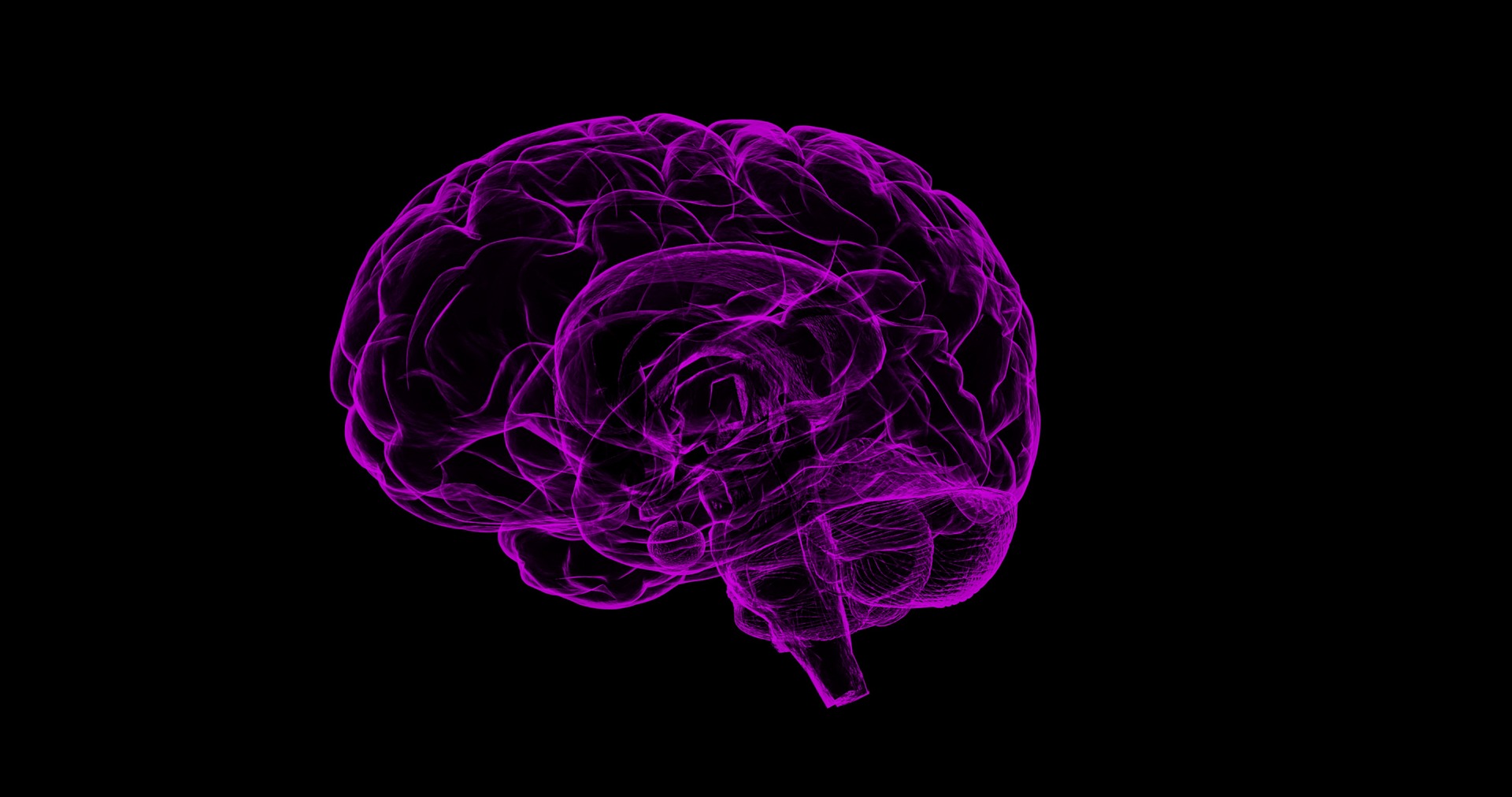 Computer generated image of a brain, protected by the blood-brain barrier