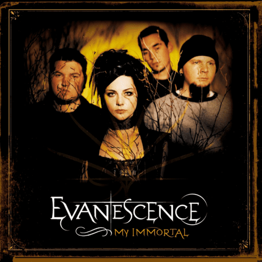 evanescence song about grief