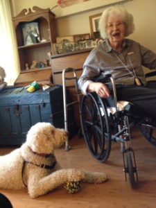An elderly woman and a Pet Partners therapy animal Homer