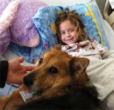 Animal Therapy Program benefits a little girl in a hospital