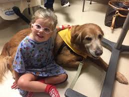 Little Girl Pets Dog During Therapy Visit