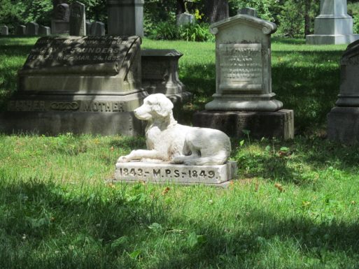 Pet burials next to their owners" graves is now permitted in New York