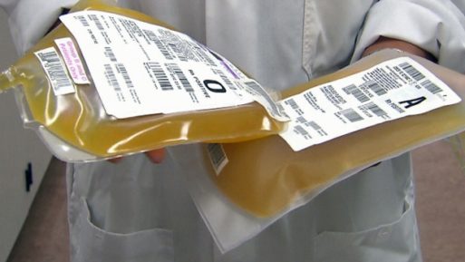 Medical professional holding two bags of plasma