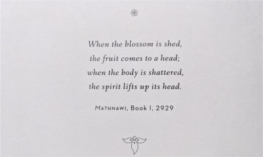 Image from inside the book "Rumi: Tales of the Spirit"