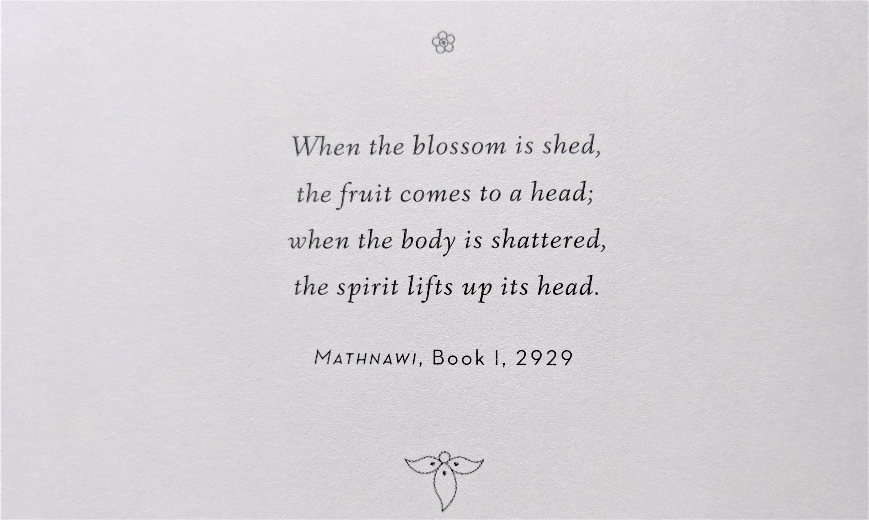 Image from inside the book "Rumi: Tales of the Spirit"