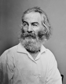 Walt Whitman wrote "The Wound-Dresser"