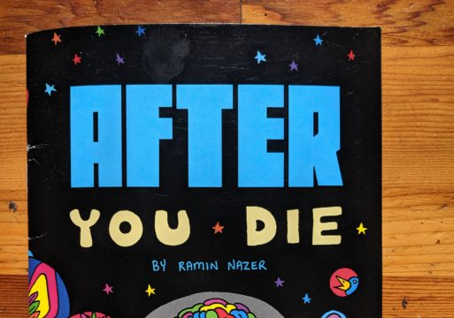 Cover of "After You Die" by Ramin Nazer