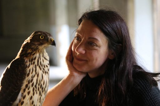 Helen MacDonald and her hawk